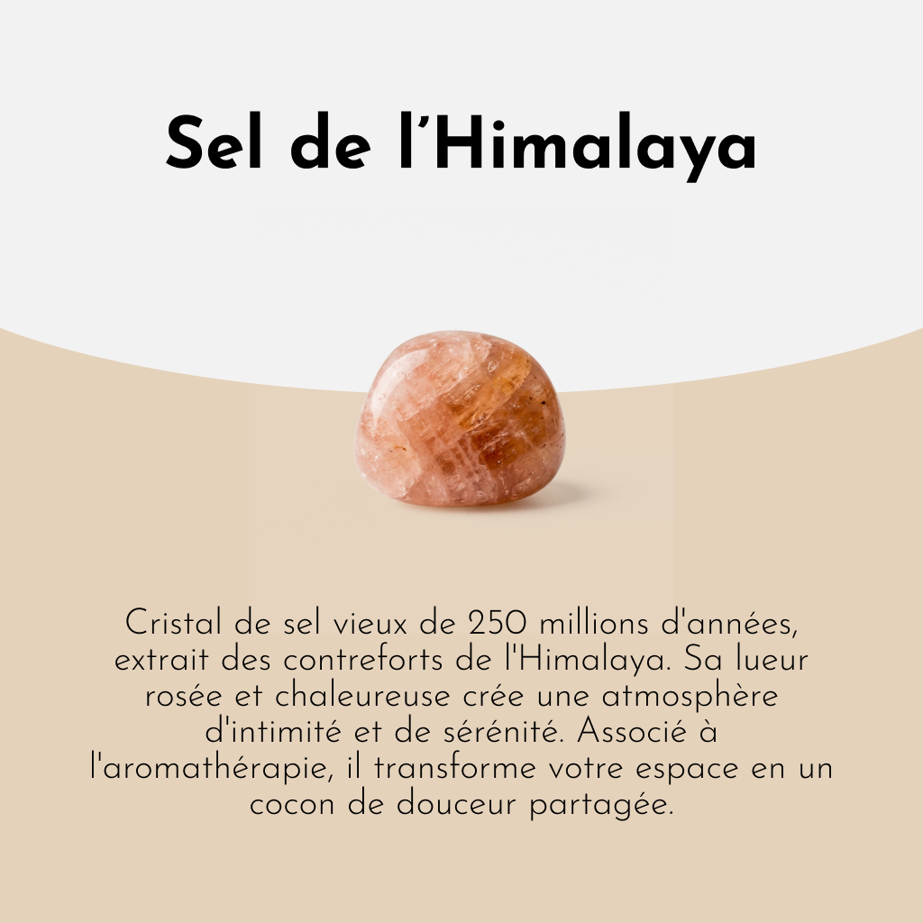 Lampe Diffuseur Sel d'Himalaya